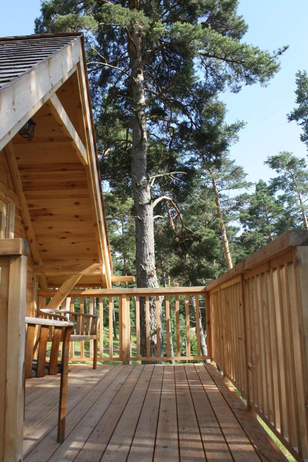 Cabane Lodge Domaine Du Lac Chambon 뮈롤 외부 사진