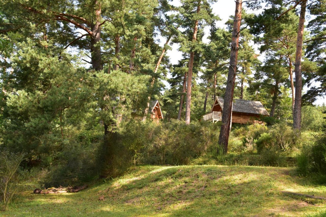 Cabane Lodge Domaine Du Lac Chambon 뮈롤 외부 사진